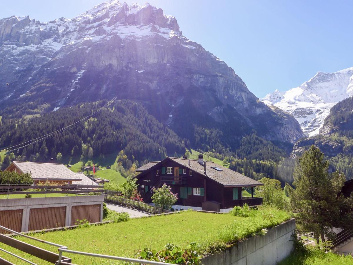 Apartment Chalet Almis-Boedeli-1 By Interhome Grindelwald Kültér fotó