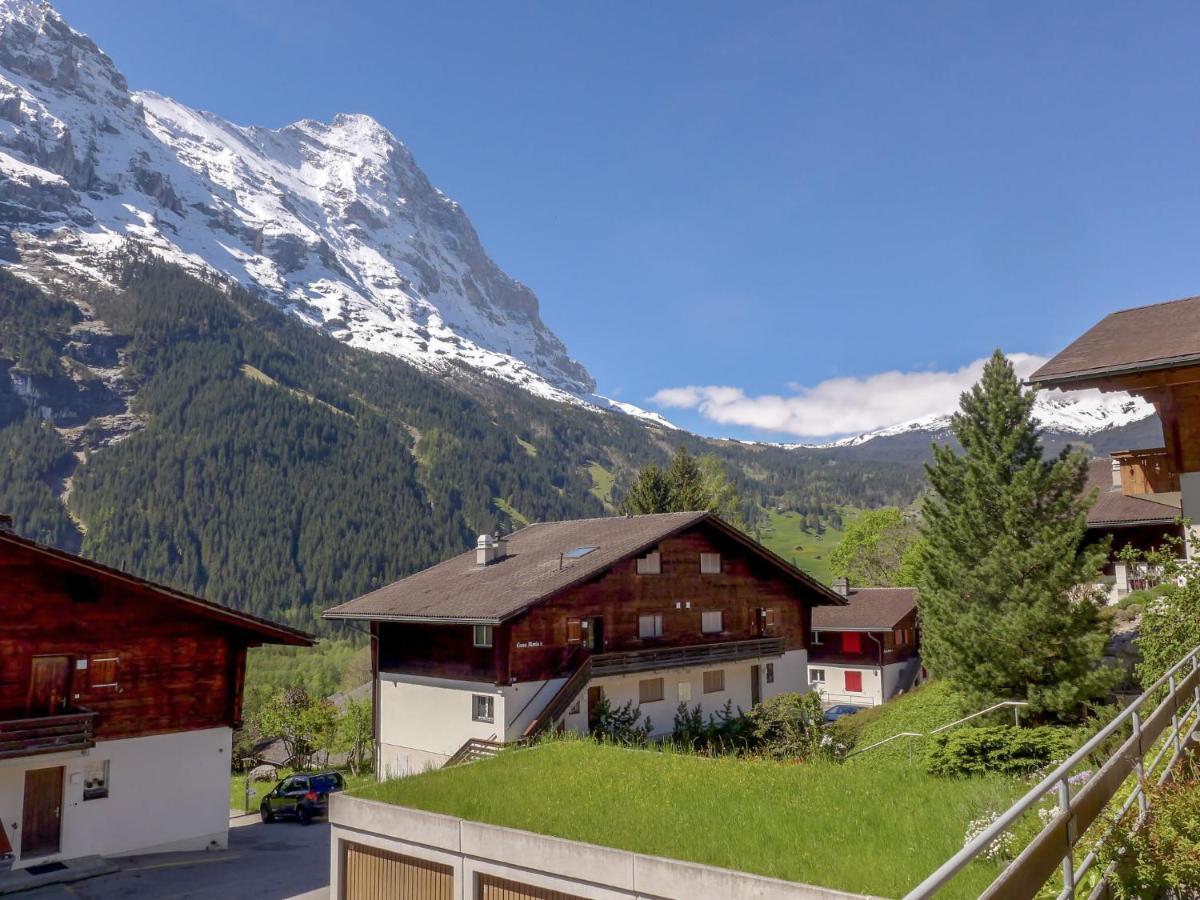 Apartment Chalet Almis-Boedeli-1 By Interhome Grindelwald Kültér fotó