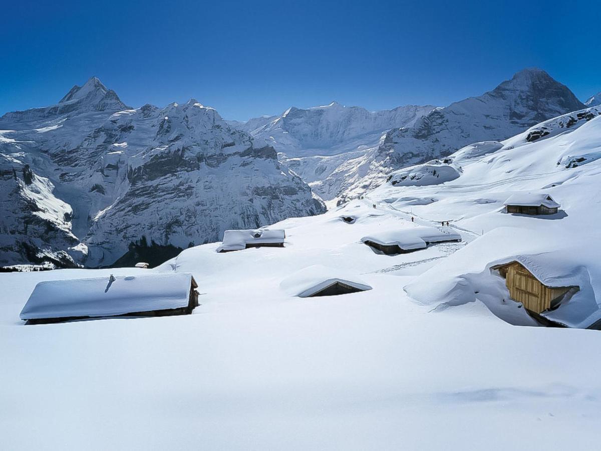Apartment Chalet Almis-Boedeli-1 By Interhome Grindelwald Kültér fotó